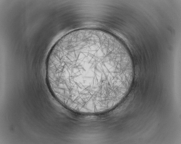 X0000111211467200907291241
