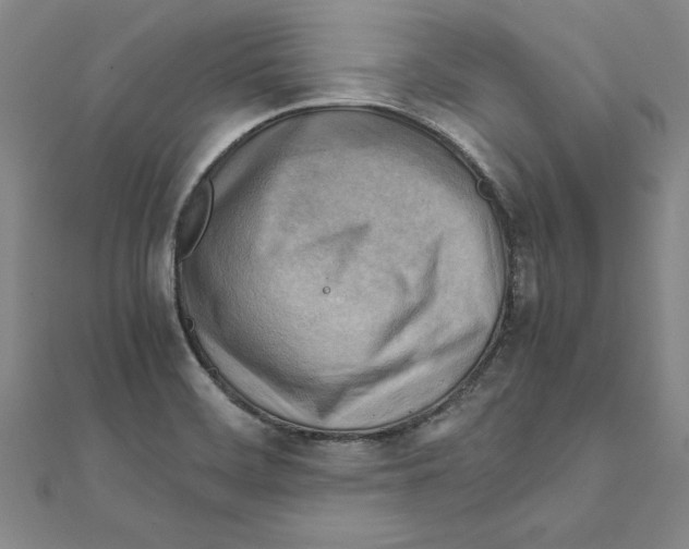 X0000111211468200907291241