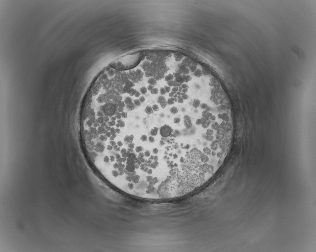 X0000111211471200907291241