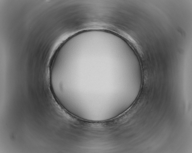 X0000111211472200907291241