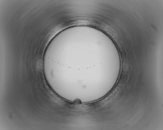 X0000111211473200907291241