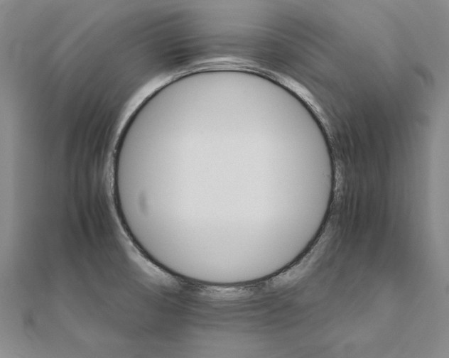 X0000111211474200907291241