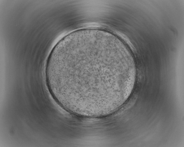 X0000111211475200907291241