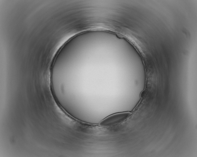 X0000111211476200907291241