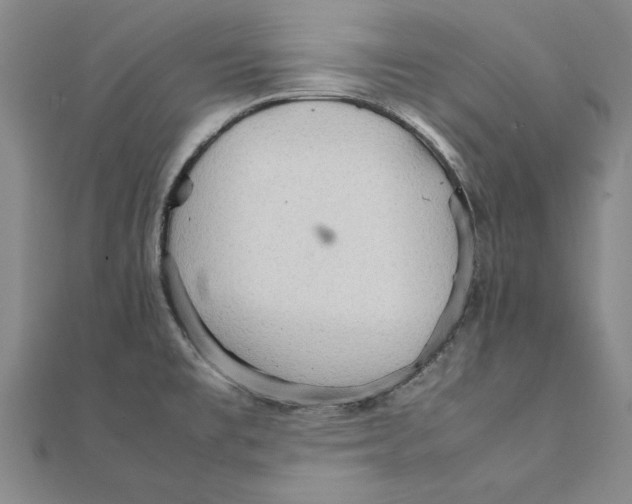 X0000111211477200907291241