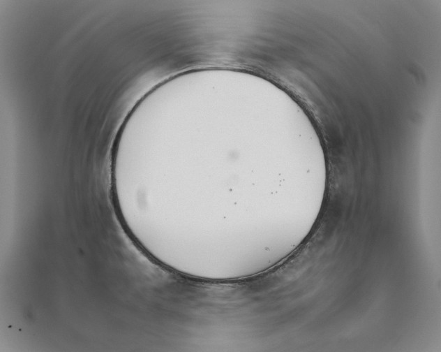 X0000111211479200907291241