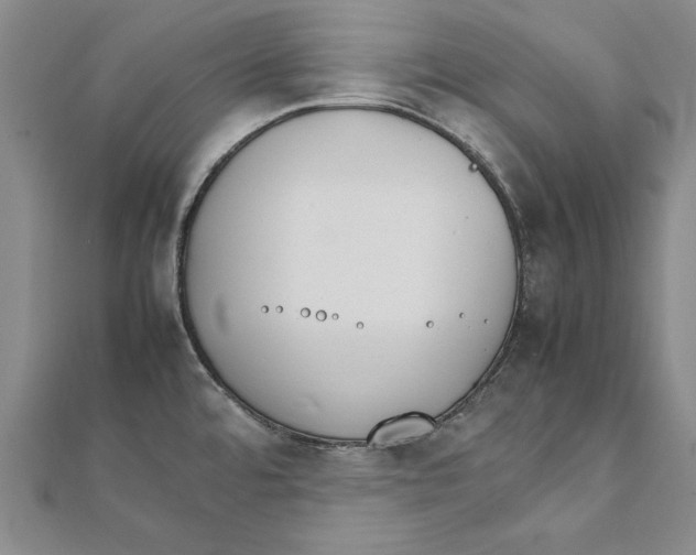 X0000111211480200907291241