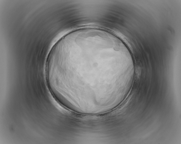 X0000111211482200907291241