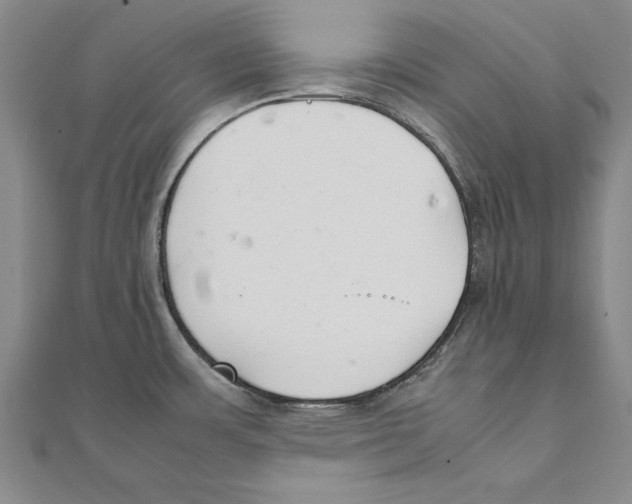 X0000111211483200907291241