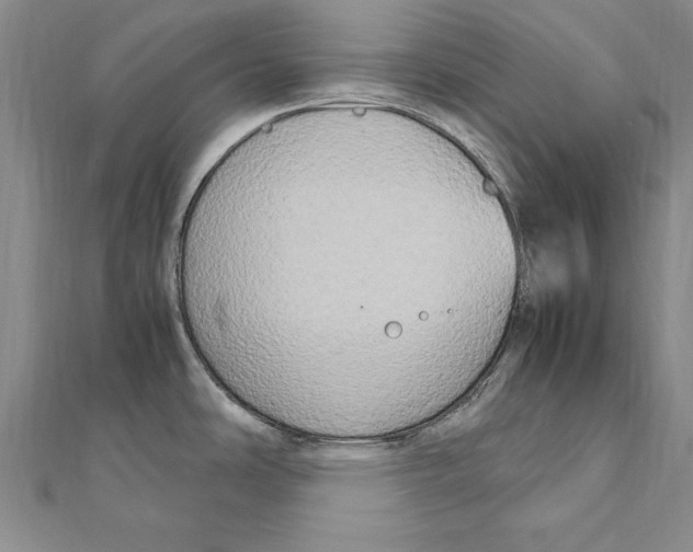 X0000111211486200907291241