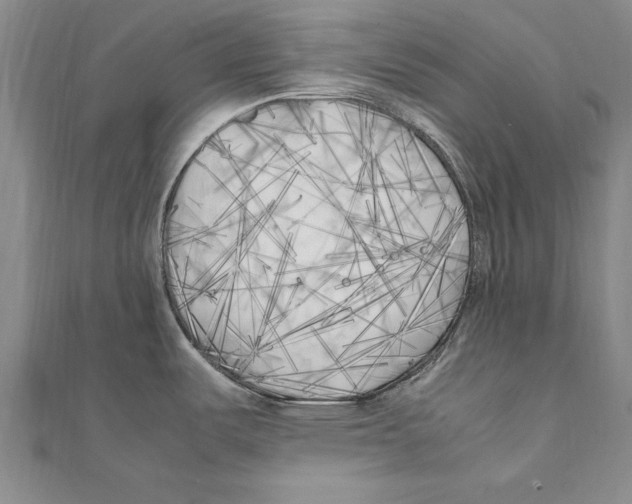 X0000111211487200907291241