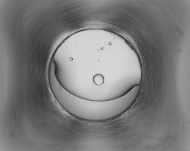 X0000111211488200907291241