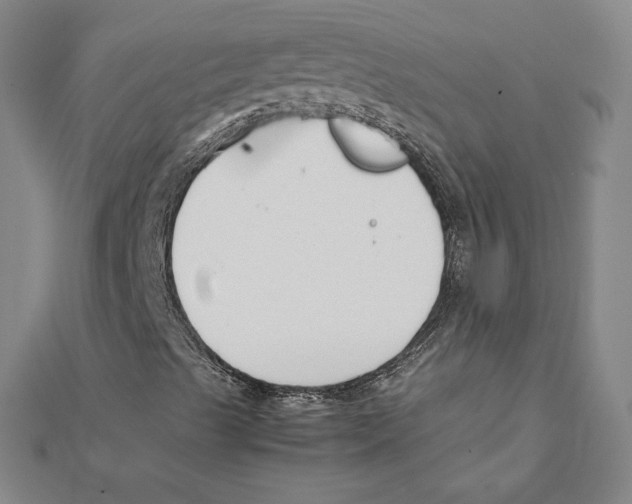 X0000111211489200907291240