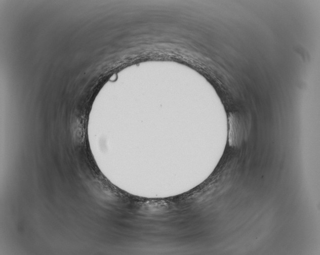 X0000111211491200907291240