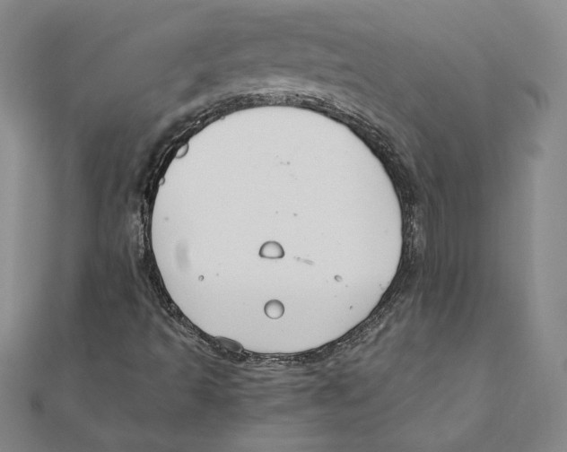 X0000111211493200907291240