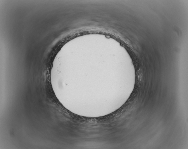 X0000111211495200907291240