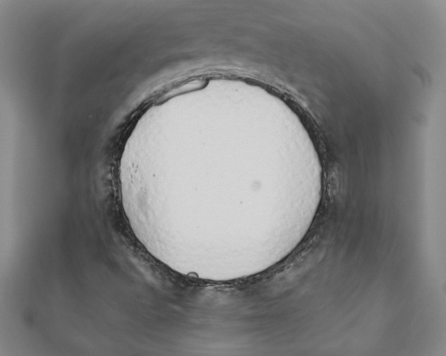 X0000111211496200907291240