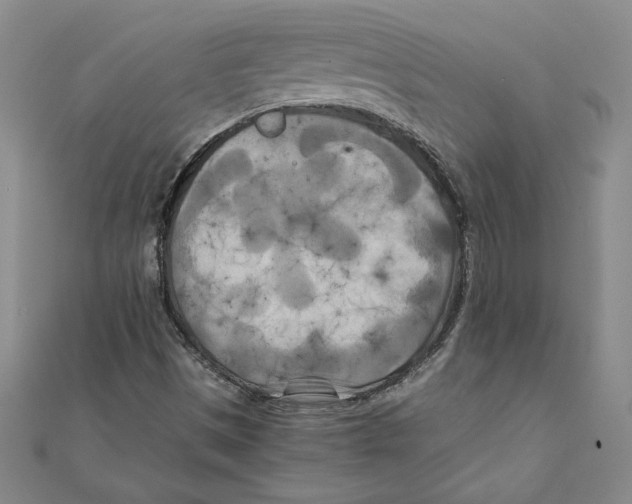 X0000111211497200907291240