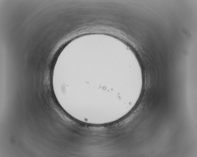 X0000111211498200907291240