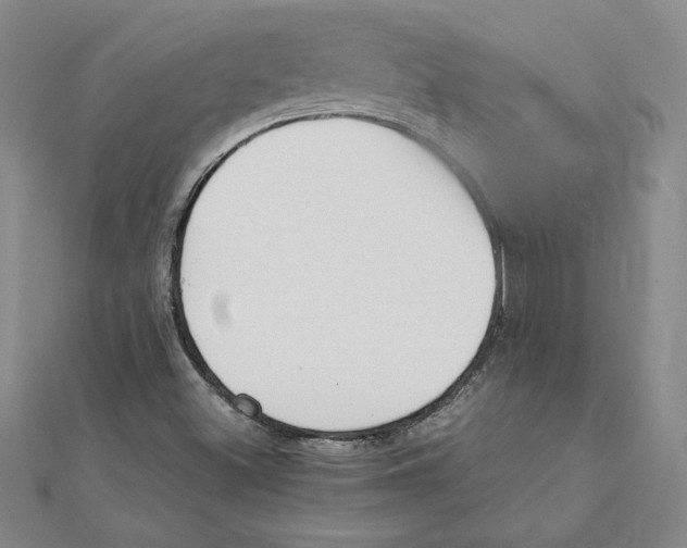 X0000111211500200907291240