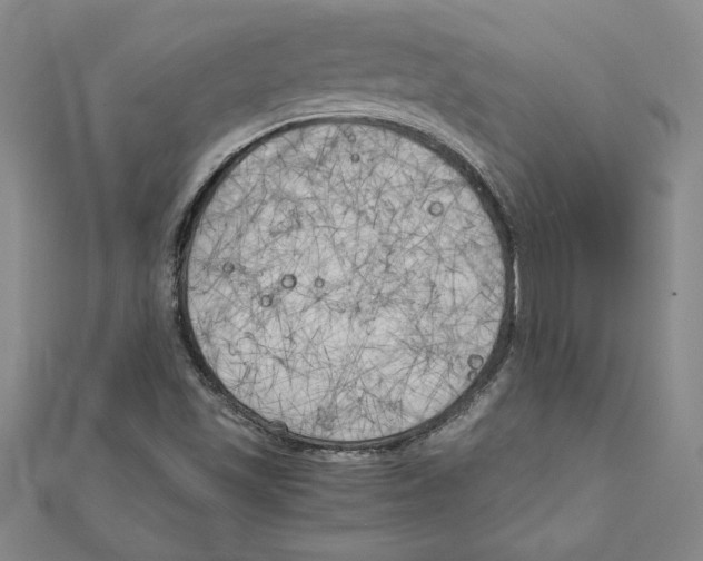 X0000111211501200907291240