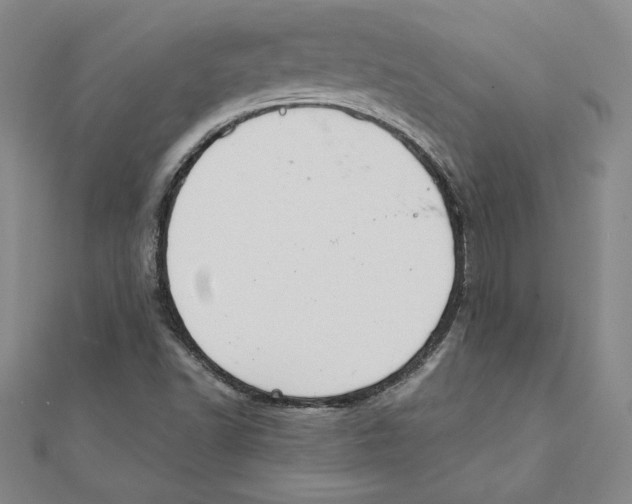 X0000111211502200907291240