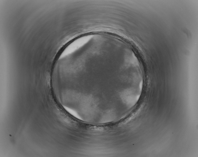 X0000111211505200907291240