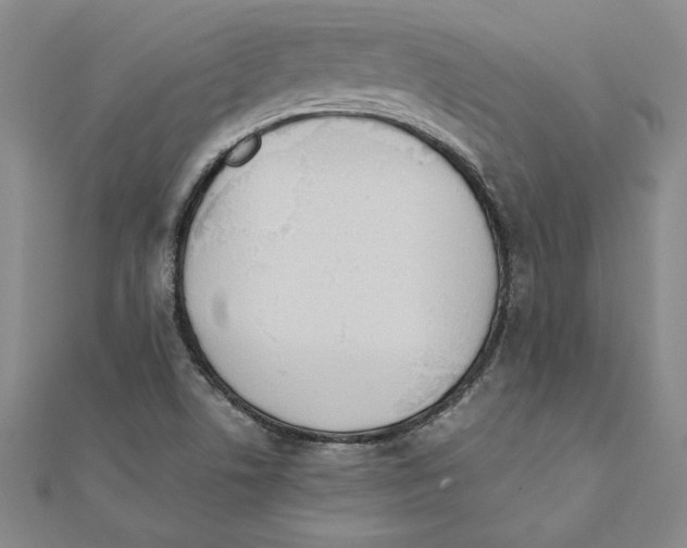 X0000111211506200907291240