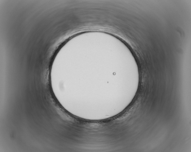 X0000111211507200907291240