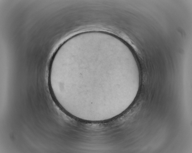 X0000111211508200907291240