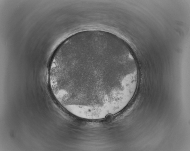 X0000111211509200907291240