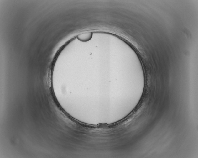 X0000111211510200907291240