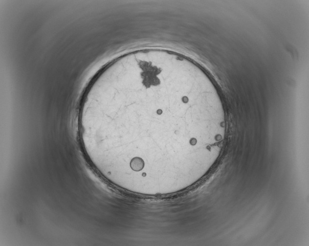 X0000111211511200907291240