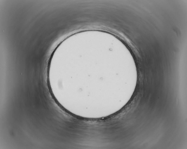 X0000111211512200907291240