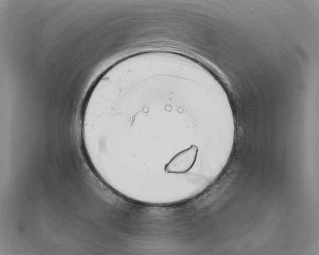 X0000111211514200907291240