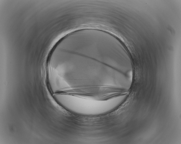 X0000111211515200907291240