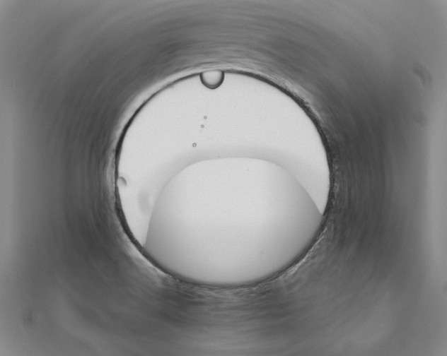 X0000111211516200907291240