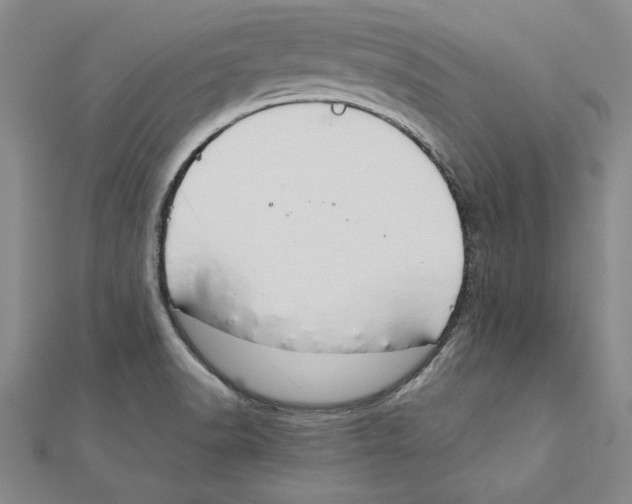 X0000111211518200907291240