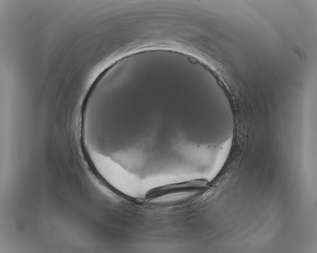 X0000111211519200907291240