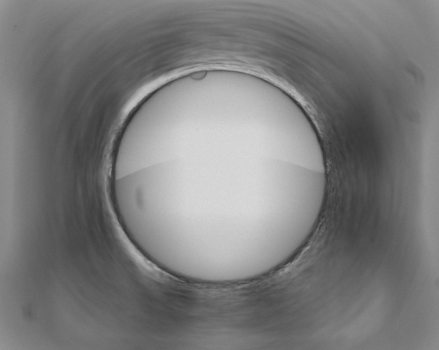 X0000111211523200907291241