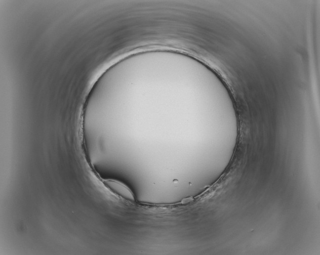 X0000111211524200907291241