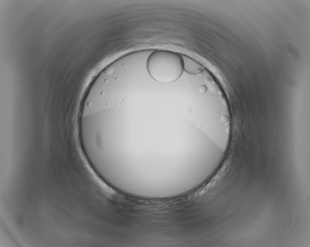 X0000111211525200907291241