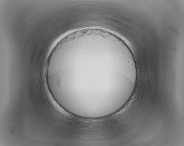 X0000111211526200907291241