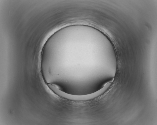 X0000111211528200907291241