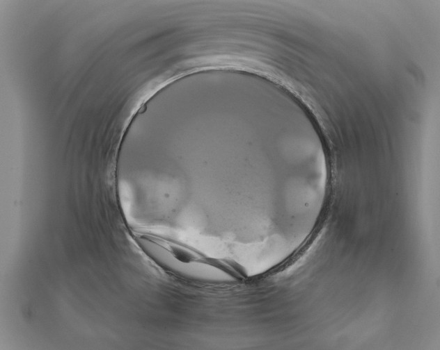 X0000111211529200907291241