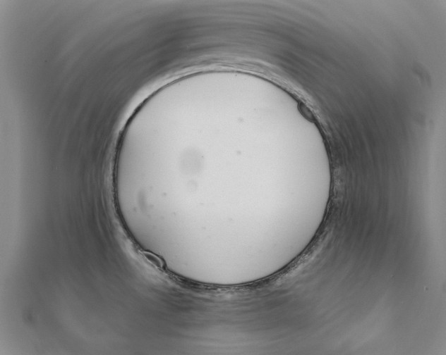 X0000111211530200907291241