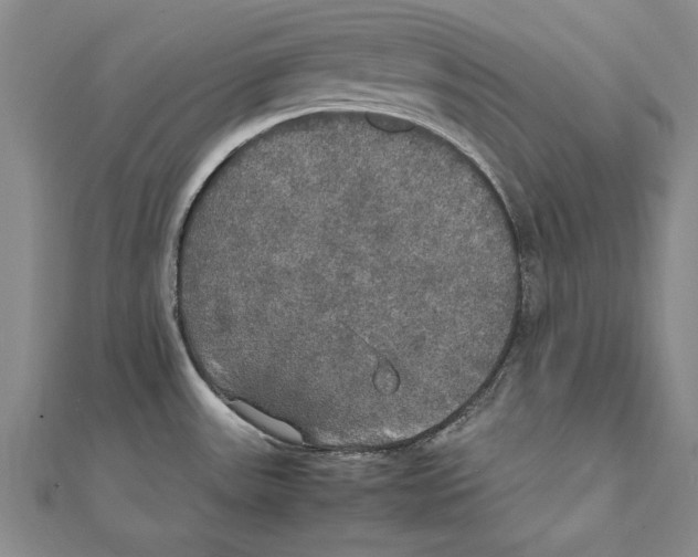 X0000111211531200907291241