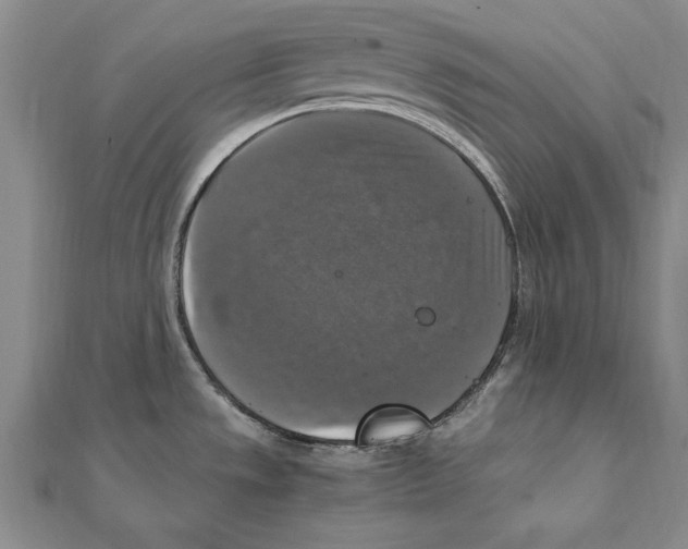 X0000111211533200907291241