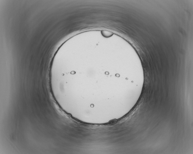 X0000111211534200907291241