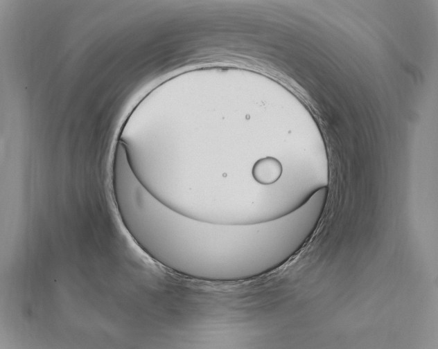 X0000111211536200907291241